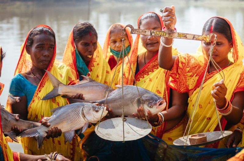 Women take the lead in promoting nutrition-sensitive aquaculture - Press  Institute